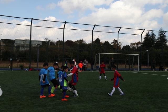 哈兰德=英超“吐饼之王”！本赛季已错失12次良机